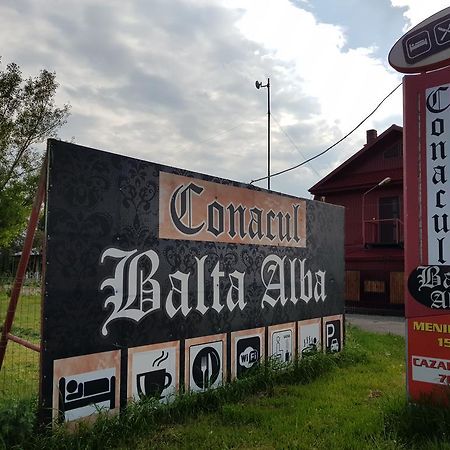 Hotel Conacul Balta Albă Exterior foto