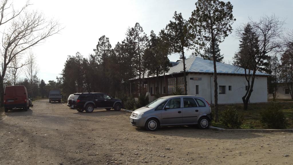 Hotel Conacul Balta Albă Exterior foto